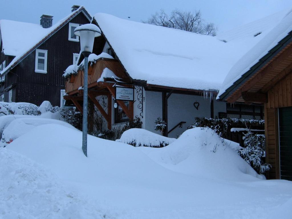 Apartmenthaus - Haus Am Schultal, Braunlage Eksteriør billede