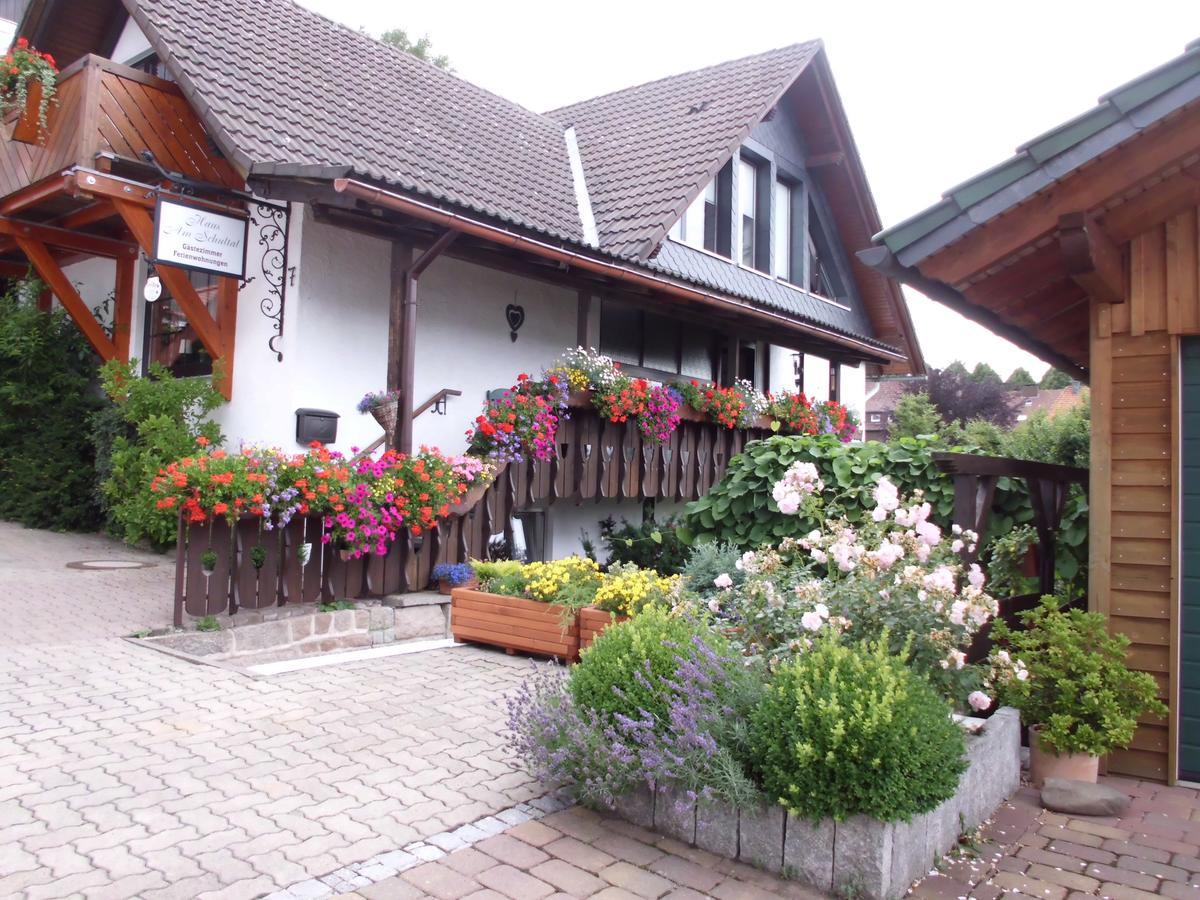 Apartmenthaus - Haus Am Schultal, Braunlage Eksteriør billede