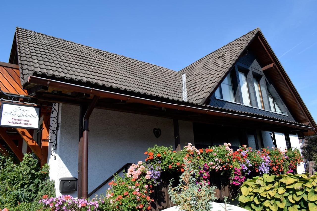 Apartmenthaus - Haus Am Schultal, Braunlage Eksteriør billede